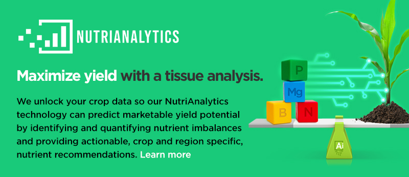 NutriAnalytics-tablet-carousel-slide