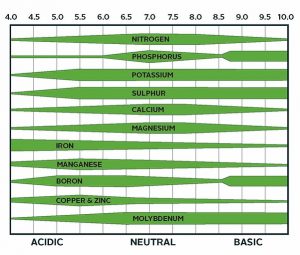 Factors influencing nutrient availability: soil pH – NutriAg